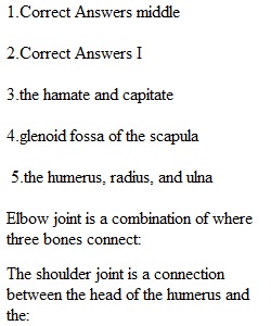 Quiz 2